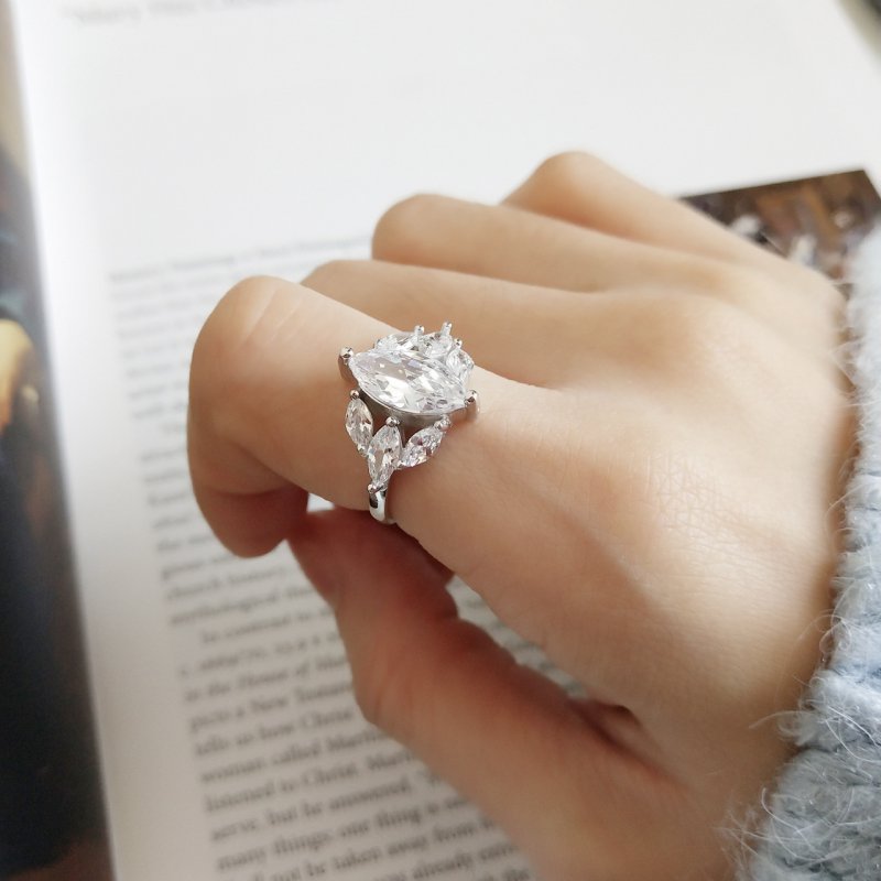 Jewelry 925 sterling silver ring personality jewelry fashion temperament atmosphere crown zirconium diamond ring Jewelry 925 sterling silver ring personality jewelry fashion temperament atmosphere crown zirconium diamond ring
